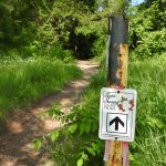 Laura Secord Walk 2019-06-22_ (66)