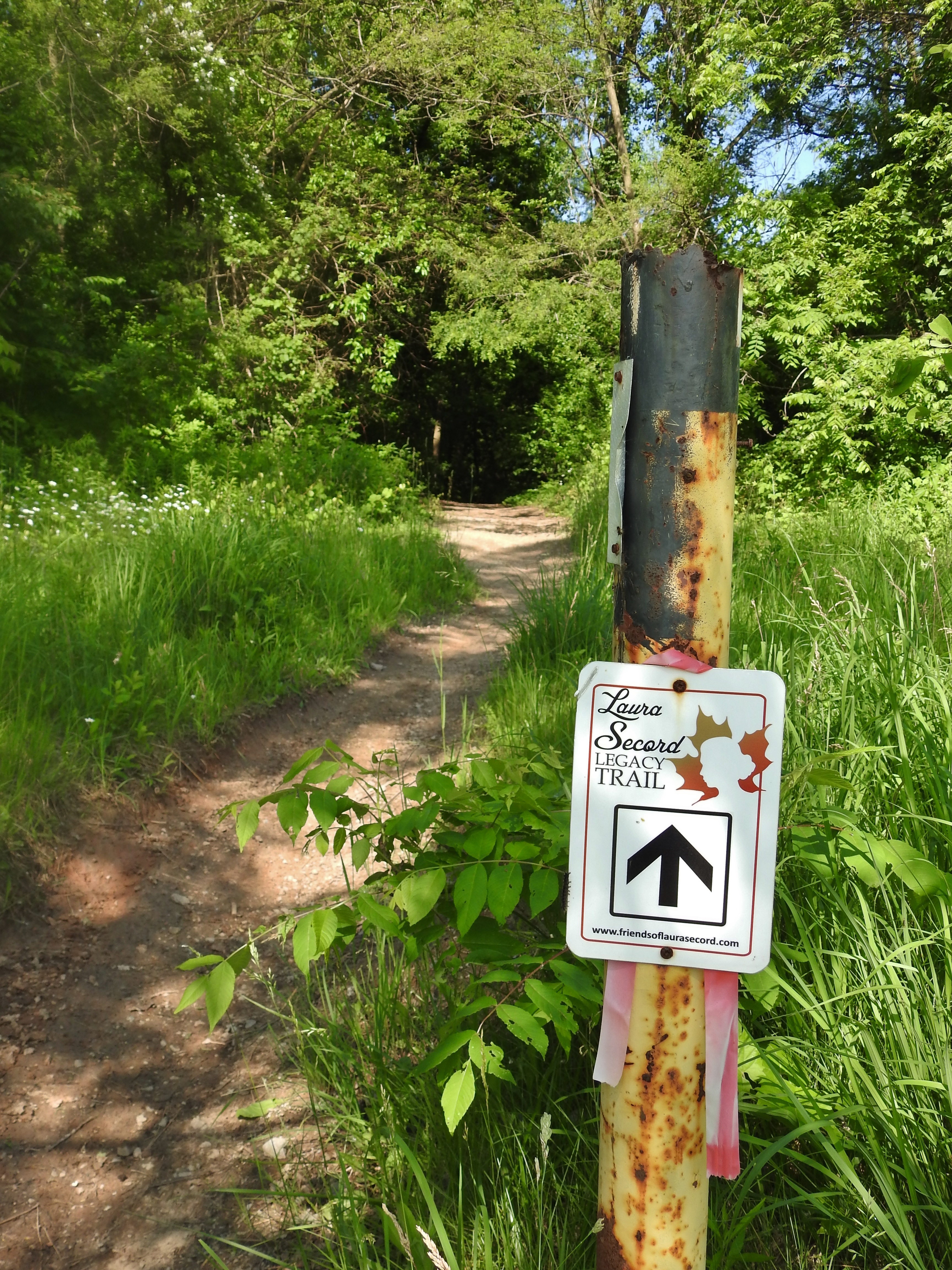 Laura Secord Walk 2019-06-22_ (66)